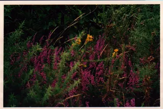 01.webp