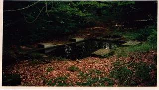 11.webp