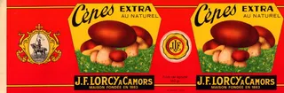 Cèpes Extra
