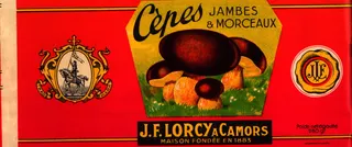 Cèpes Jambes & Morceaux
