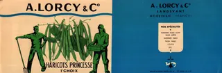 Haricots Princesse 1er Choix